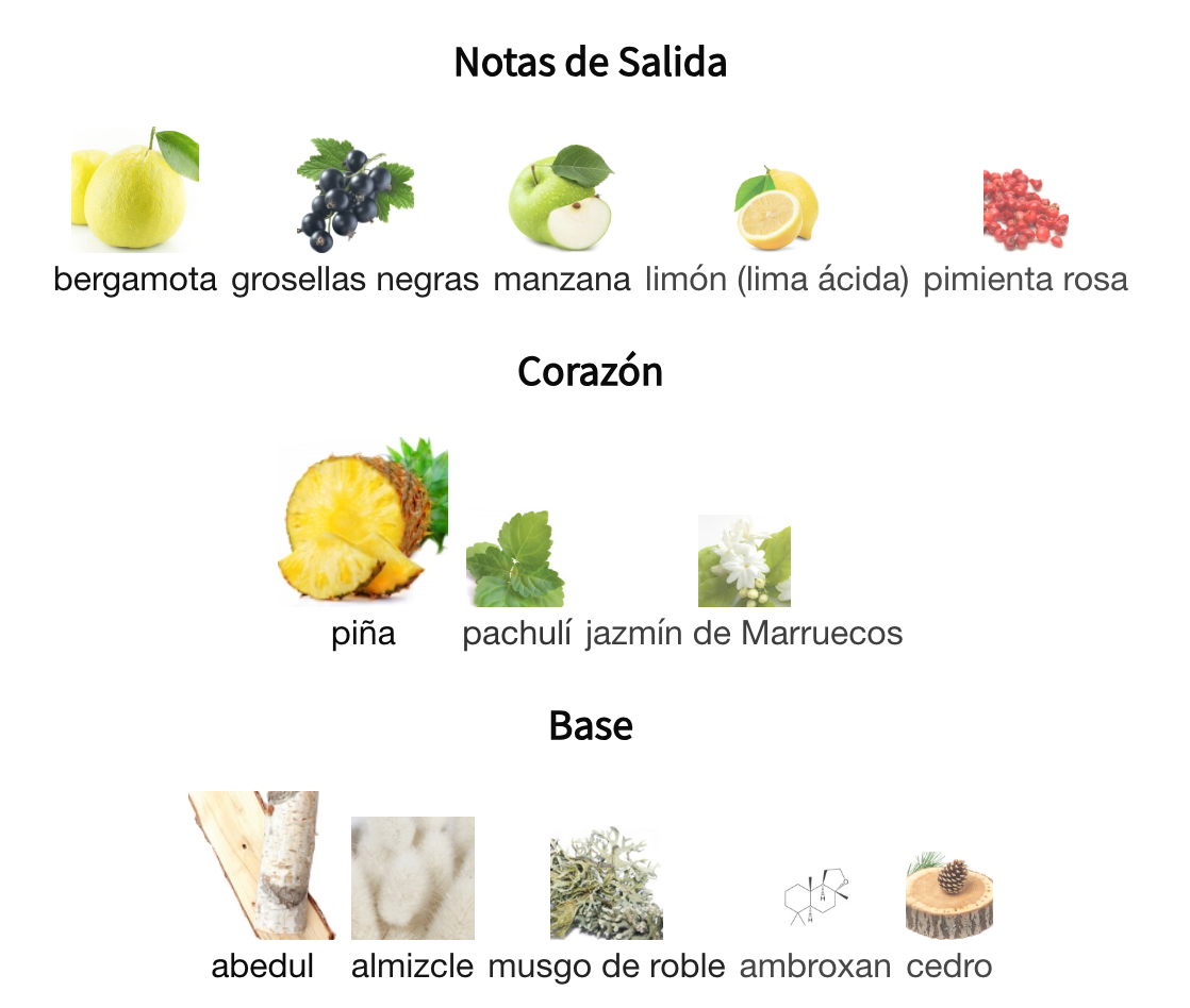 Aventus EDP 100ml – Creed Hombre Perfume Creed