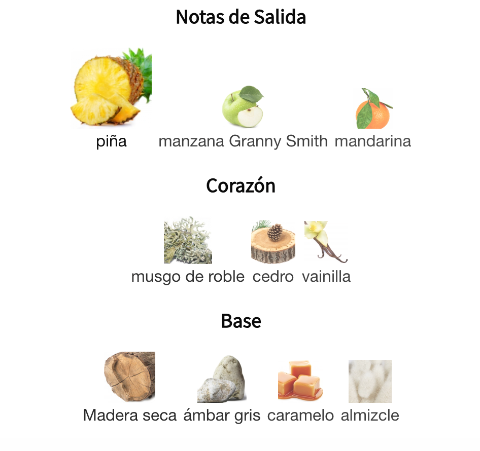 Decant 9 PM Rebel EDP 3ml, 5ml, 10ml – Afnan Hombre Perfume Afnan