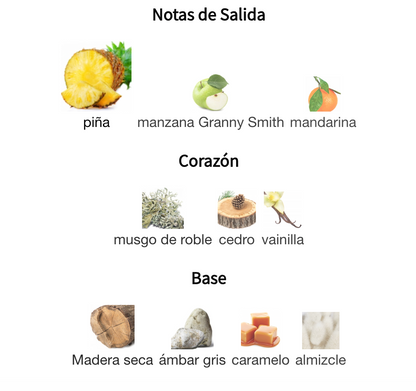 Decant 9 PM Rebel EDP 3ml, 5ml, 10ml – Afnan Hombre Perfume Afnan