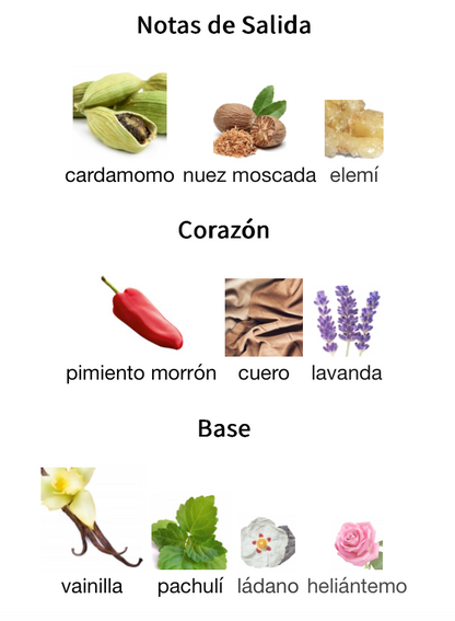 Decant 9PM Elixir Parfum intense 3ml, 5ml, 10ml – Afnan para Hombre Perfume Afnan