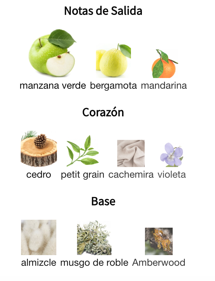 Aether EDP 100ml – French Avenue Unisex Perfume French Avenue