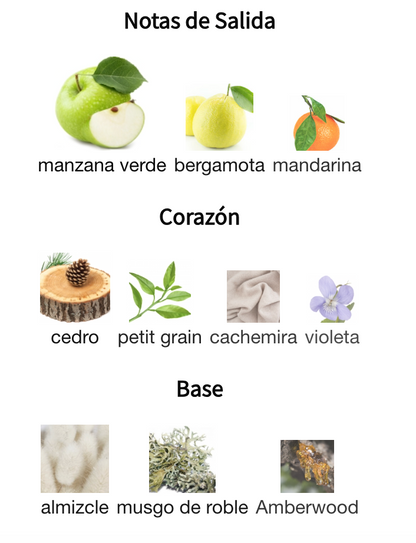 Decant Aether EDP 3ml, 5ml, 10ml – French Avenue Unisex Perfume French Avenue