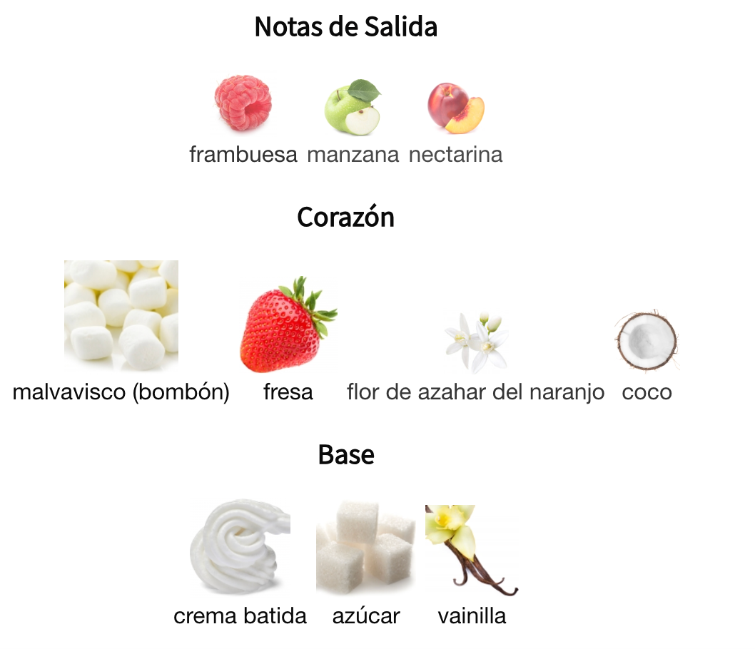 Shams Al Emarat Pink Blush Khususi EDP 100ml – Ard Al Zaafaran Mujer Perfume Ard Al Zaafaran