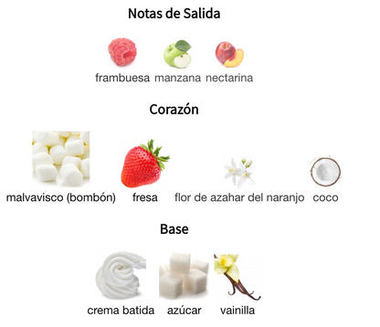 Shams Al Emarat Pink Blush Khususi EDP 100ml – Ard Al Zaafaran Mujer Perfume Ard Al Zaafaran