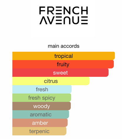 Vulcan Feu Extrait de Parfum 100ml – French Avenue Unisex Perfume French Avenue