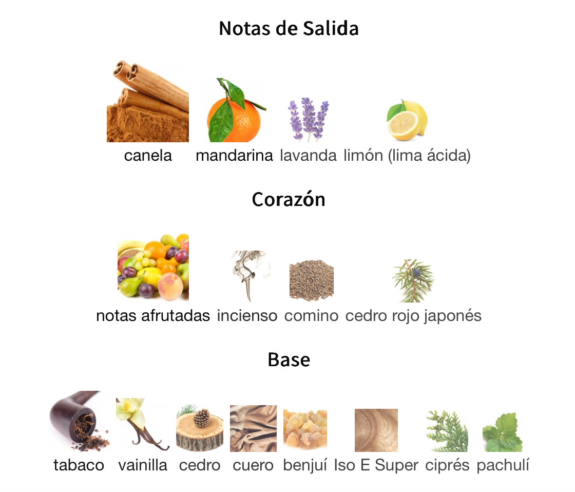 Wanted by Night EDP 100ml – Azzaro Hombre Perfume Azzaro