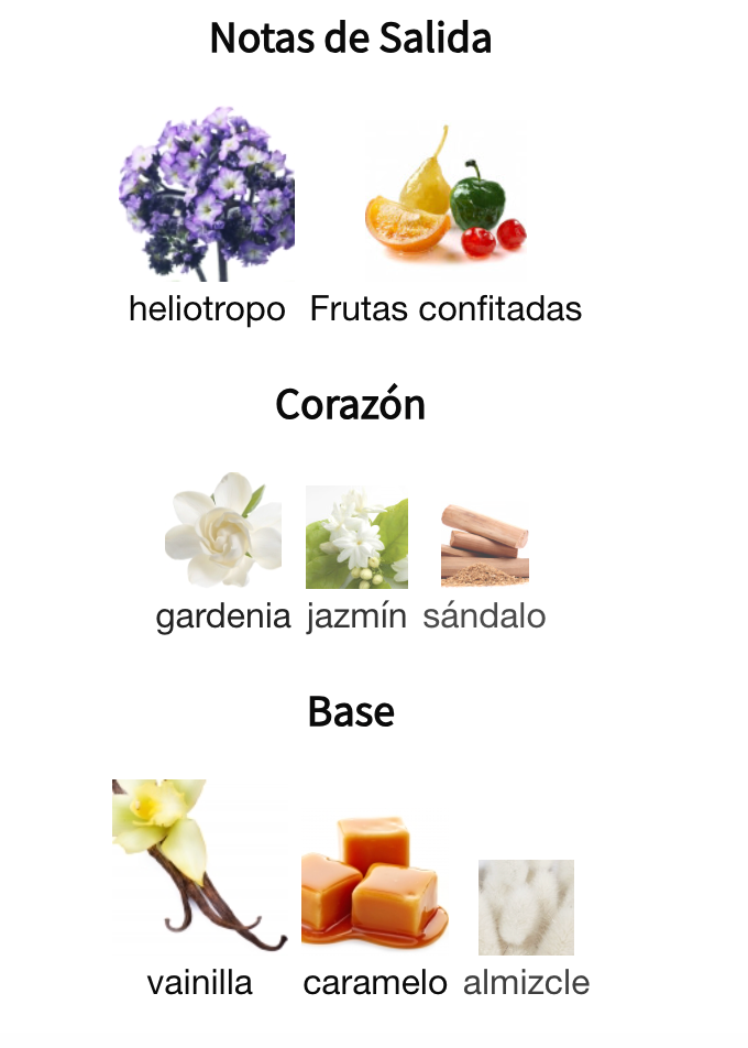 Bouquet of Euphoria EDP 100ml – Fragrance World Mujer Perfume Fragrance World