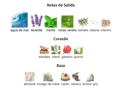 Cool Water EDT 125ml – Davidoff Hombre Perfume Davidoff