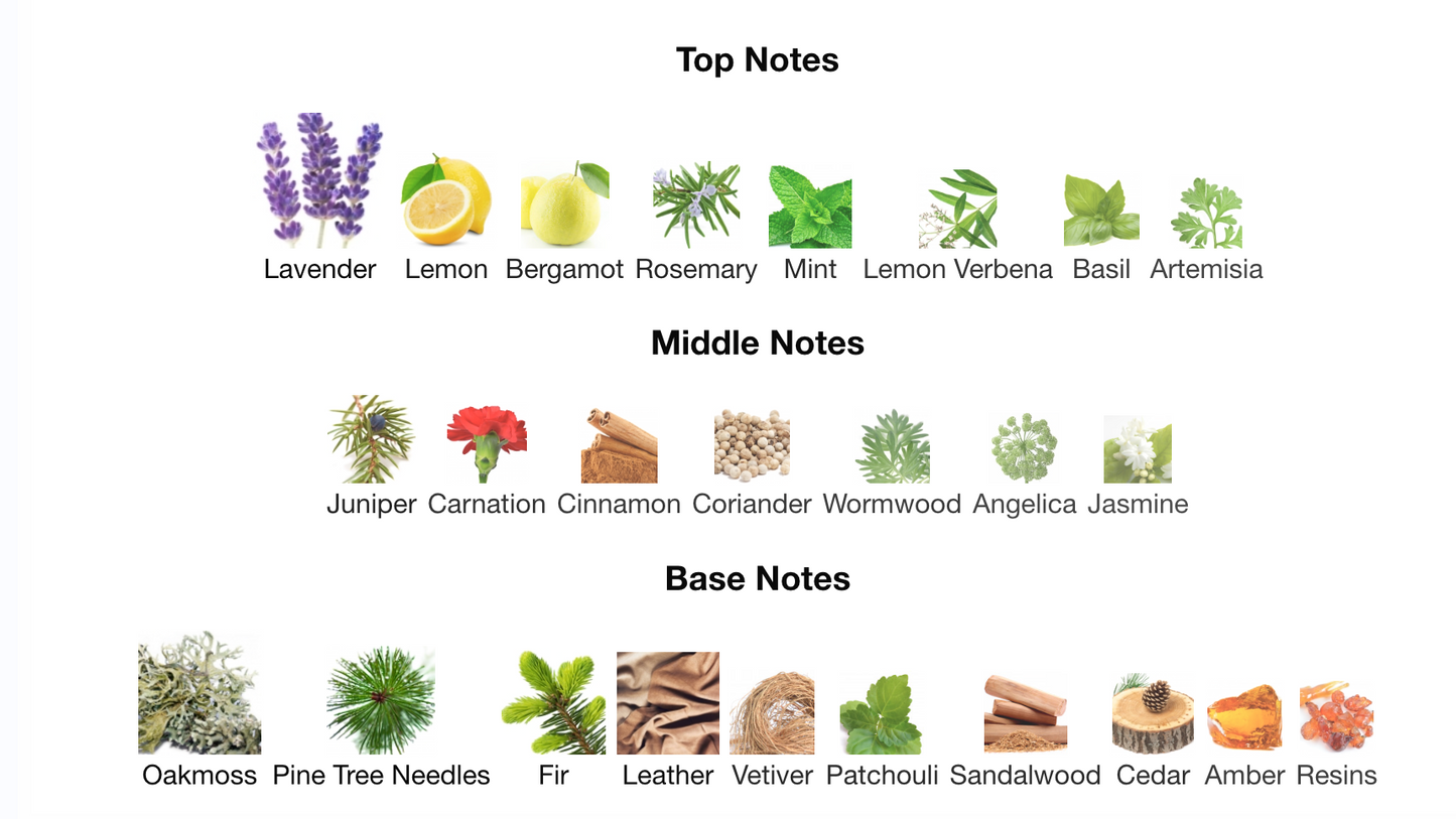 Decant Drakkar Noir EDT – Guy Laroche Hombre Perfume Guy Laroche