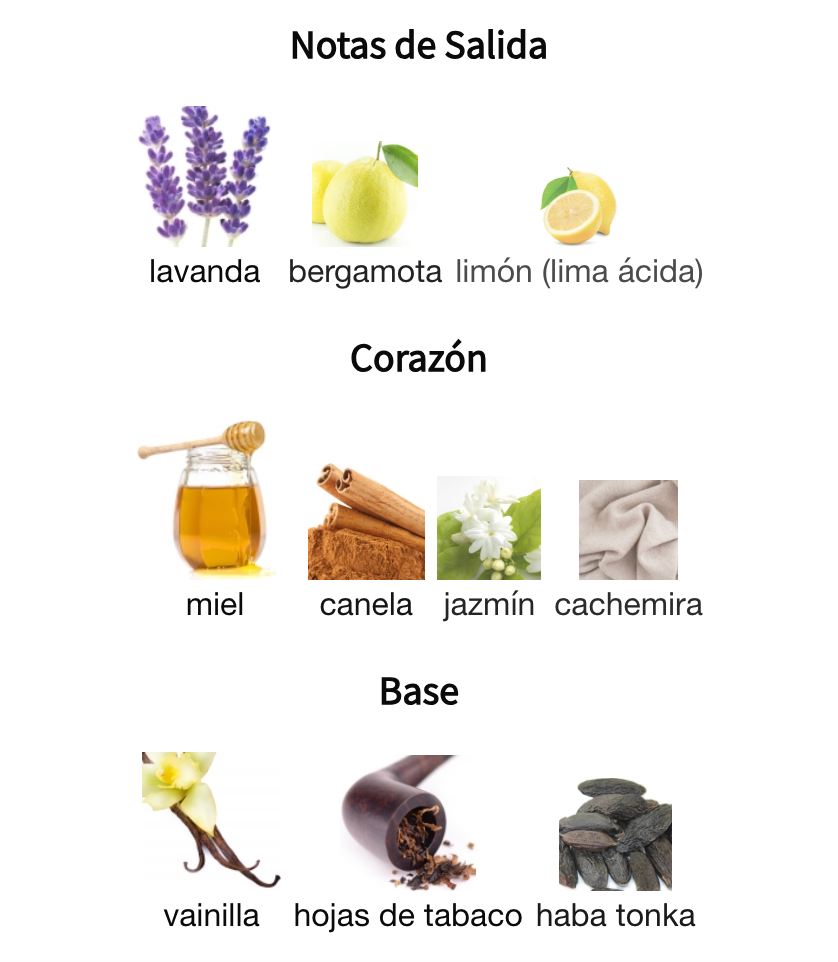 Decant Fierte Luna EDP 3ml, 5ml, 10ml – French Avenue Unisex Perfume French Avenue