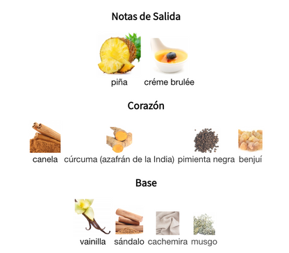 Decant Bade'e Al Oud Honor and Glory EDP – Lattafa Unisex Perfume Lattafa