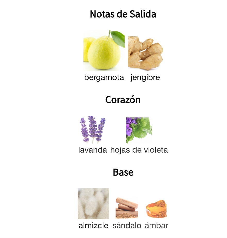 Suqraat EDP 100ml – Lattafa Hombre