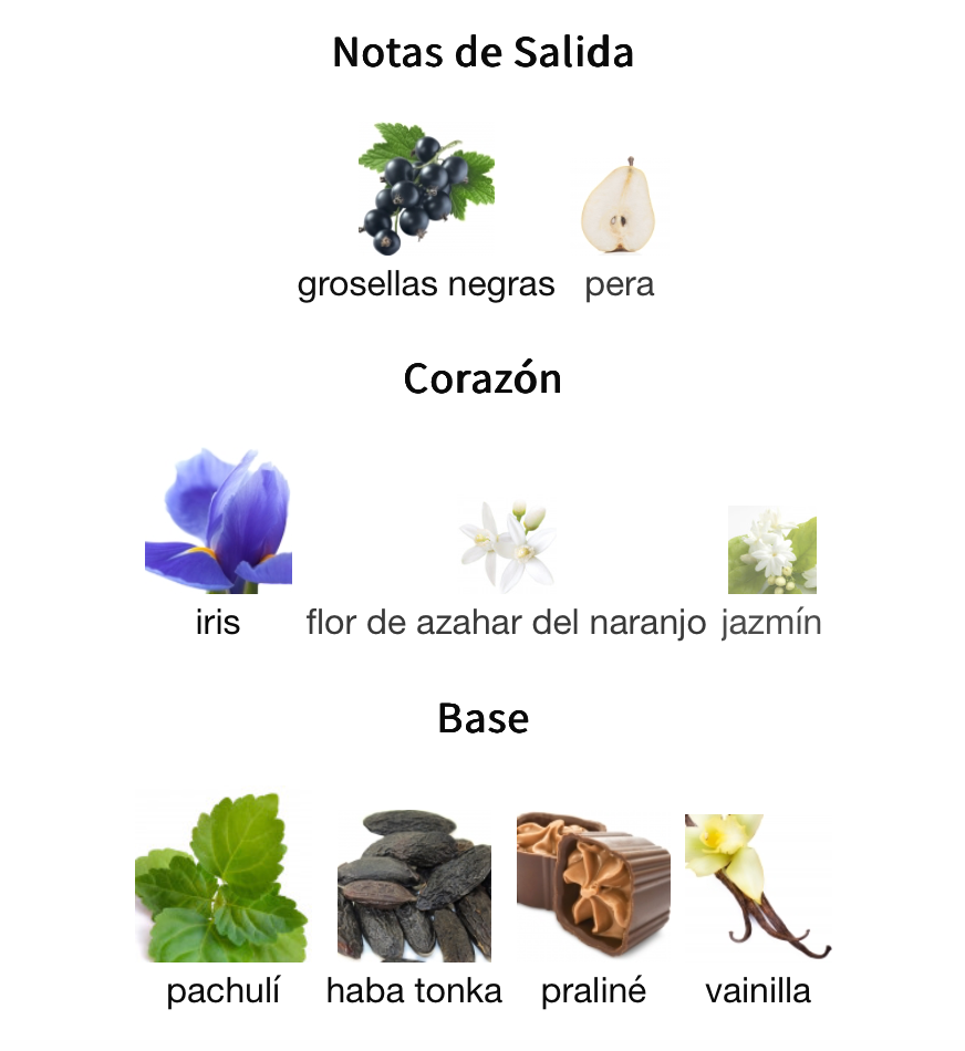 La Vivacité EDP 100ml – Maison Alhambra Mujer Perfume Maison Alhambra