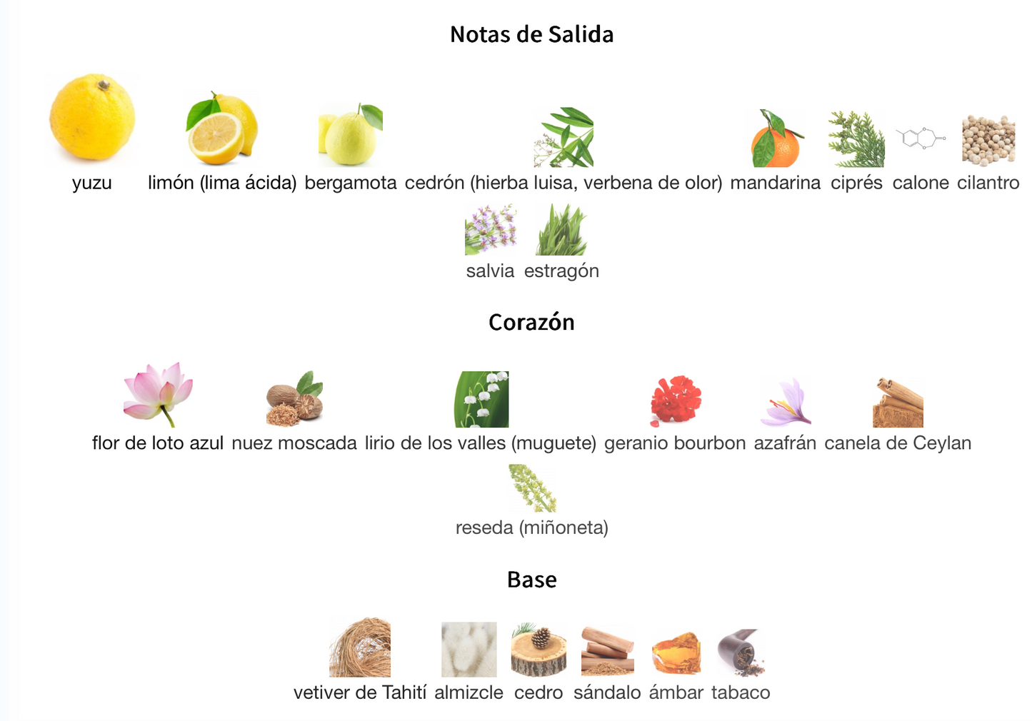 L'eau D'issey EDT 125ml – Issey Miyake Hombre Perfume Issey Miyake