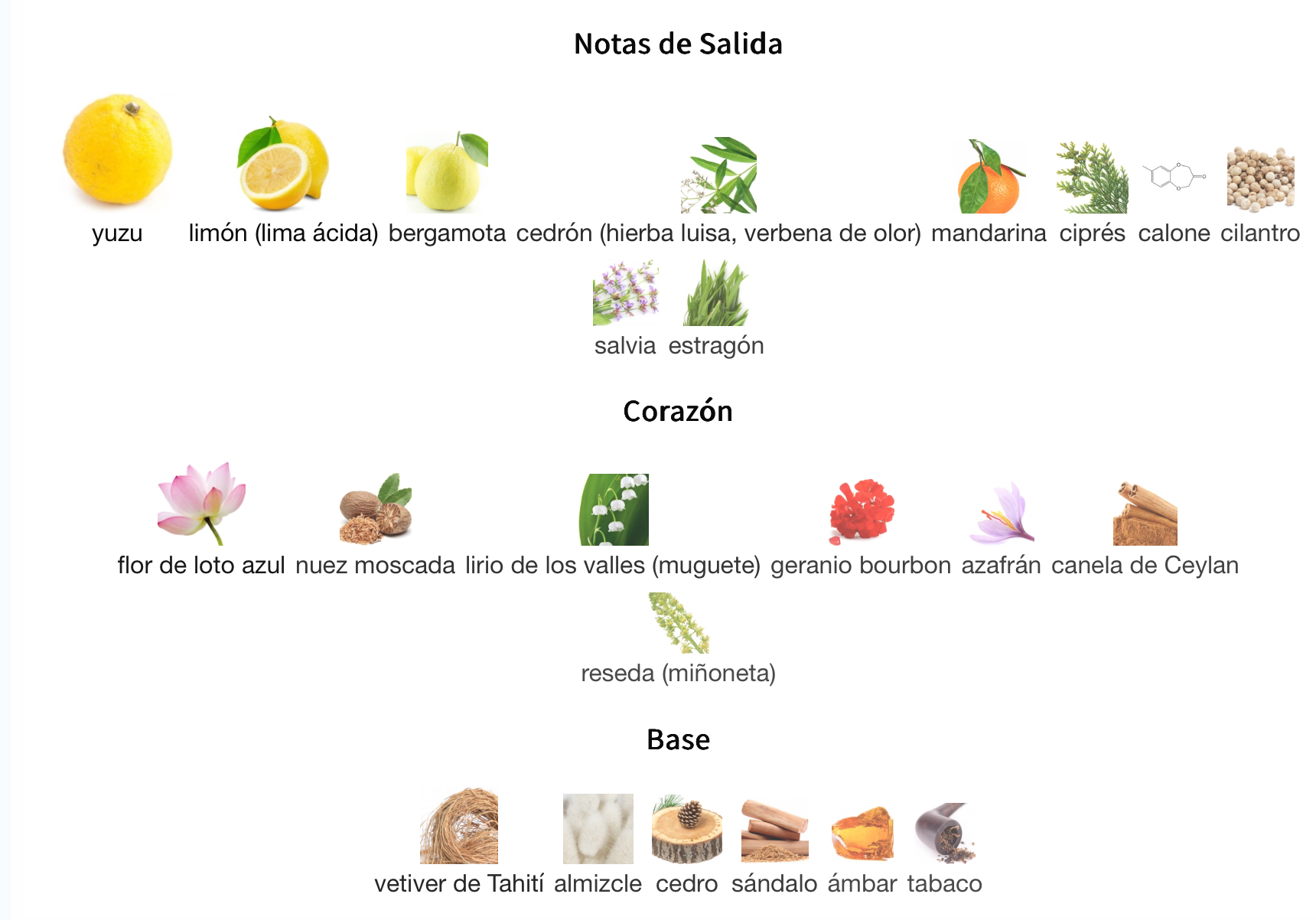 L'eau D'issey EDT 125ml – Issey Miyake Hombre Perfume Issey Miyake