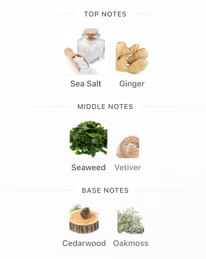 Le Sel d'Issey EDT Eau de Toilette – Issey Miyake Hombre Perfume Issey Miyake