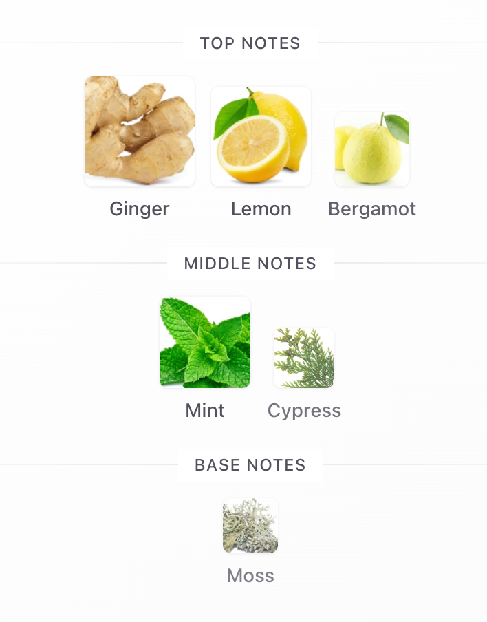 Decant Mawj Moscow Mule EDP – Paris Corner Unisex Decant de Perfume Paris Corner