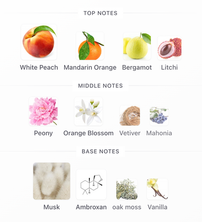 Mystique Bouquet EDP – Afnan Mujer Perfume Afnan