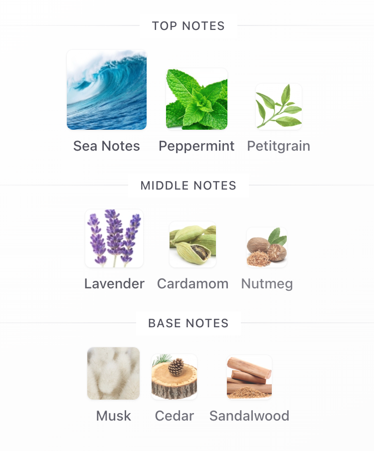 Nautica Voyage N-83 – Nautica Hombre