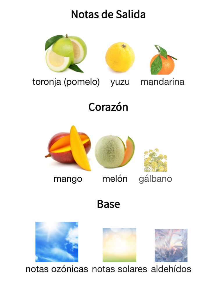 Decant No4 Neon EDP Thomas Kosmala Unisex Perfume Thomas Kosmala