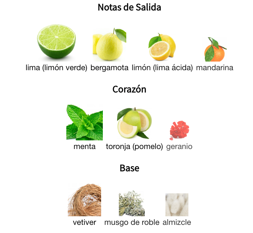 Decant No8 Tonic Vert EDP Thomas Kosmala Unisex Perfume Thomas Kosmala