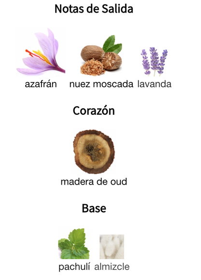 Oud Greatest EDP 100ml – Paris Corner Unisex