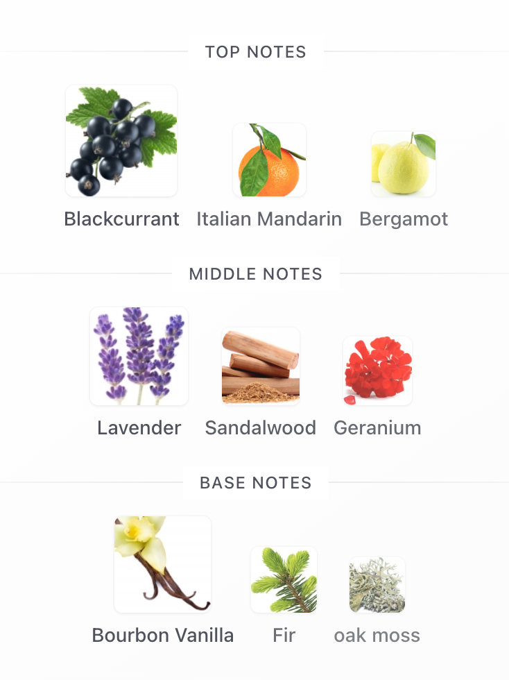 Ralph's Club New York EDP 100ml – Ralph Lauren Hombre Perfume Ralph Lauren