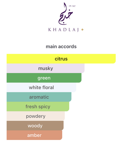 Decants Shiyaaka Sky EDP – Khadlaj Perfumes Hombre Decant de Perfume Khadlaj Perfumes
