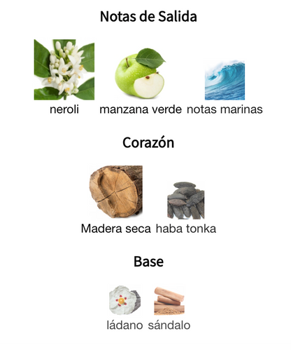 Decant Star Chaser EDP Thomas Kosmala Unisex Perfume Thomas Kosmala