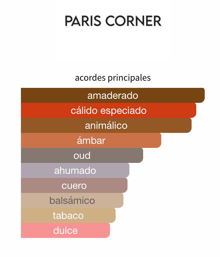 Thailand Oud in Cairo EDP 100ml – Paris Corner Unisex