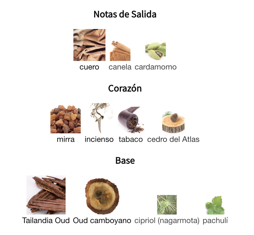 Thailand Oud in Cairo EDP 100ml – Paris Corner Unisex