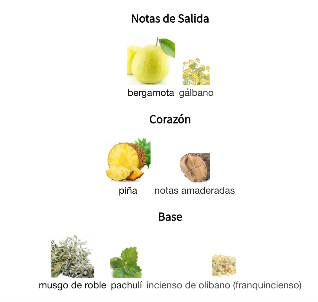 Decant Wild Stride EDP Thomas Kosmala Unisex Perfume Thomas Kosmala