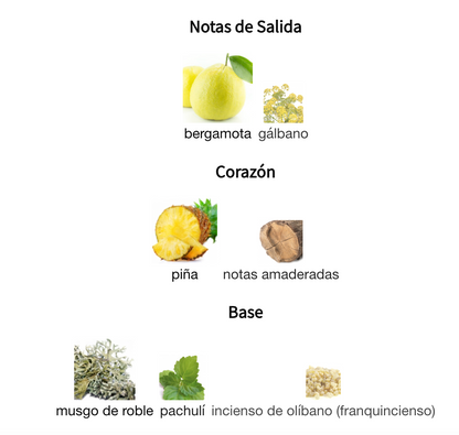 Decant Wild Stride EDP Thomas Kosmala Unisex Perfume Thomas Kosmala